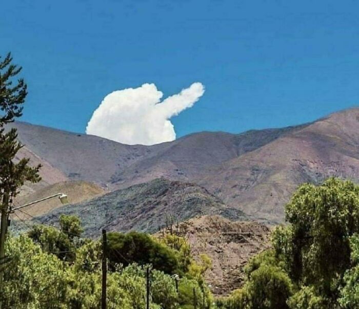 30 Sensational Memes About The Great Outdoors