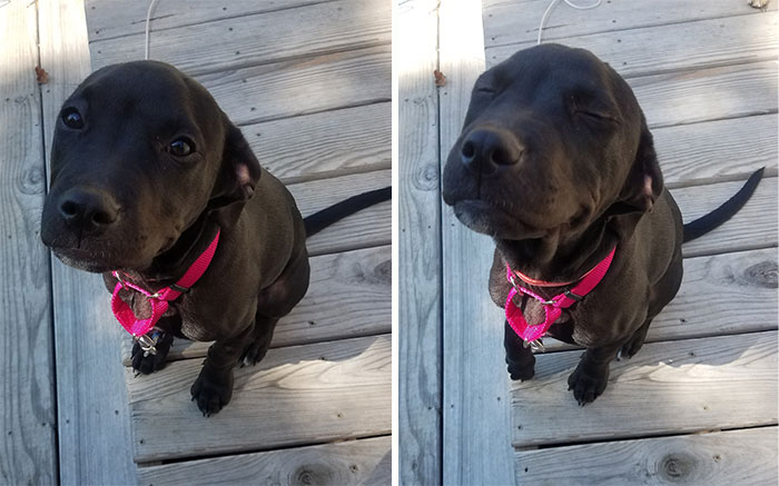 31 Heartwarming Before And After Images That Are So Wholesome !