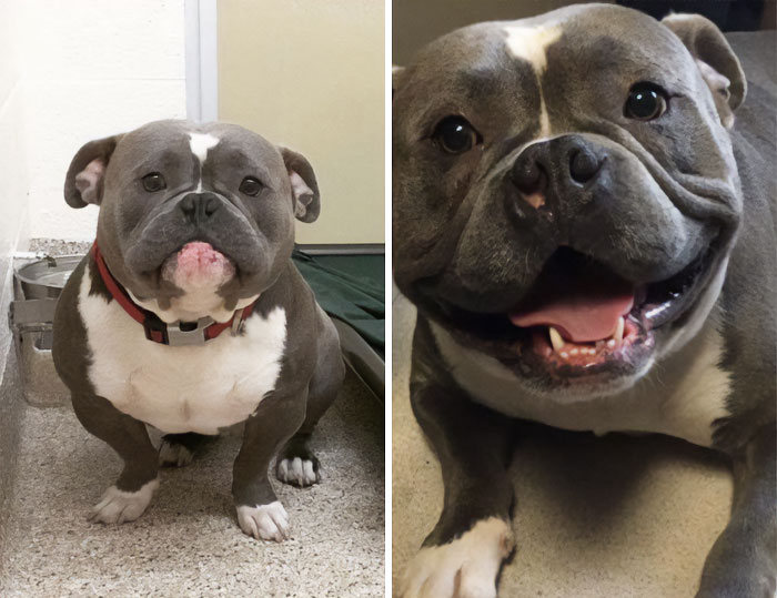 31 Heartwarming Before And After Images That Are So Wholesome !