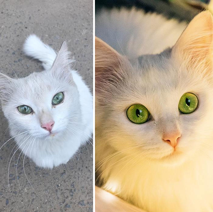 31 Heartwarming Before And After Images That Are So Wholesome !