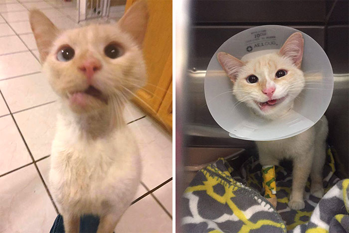 31 Heartwarming Before And After Images That Are So Wholesome !