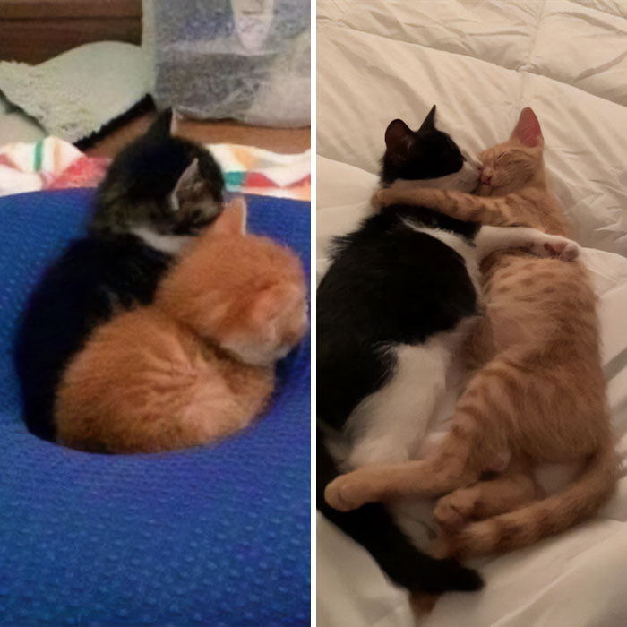 31 Heartwarming Before And After Images That Are So Wholesome !