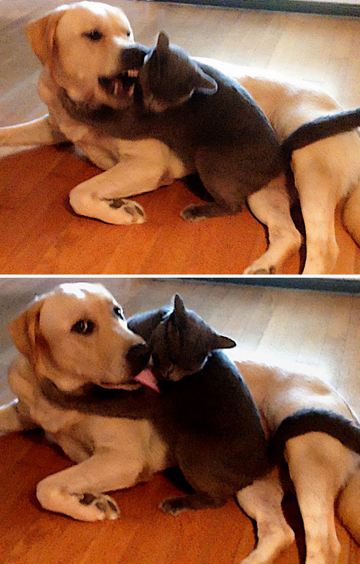 31 Heartwarming Before And After Images That Are So Wholesome !