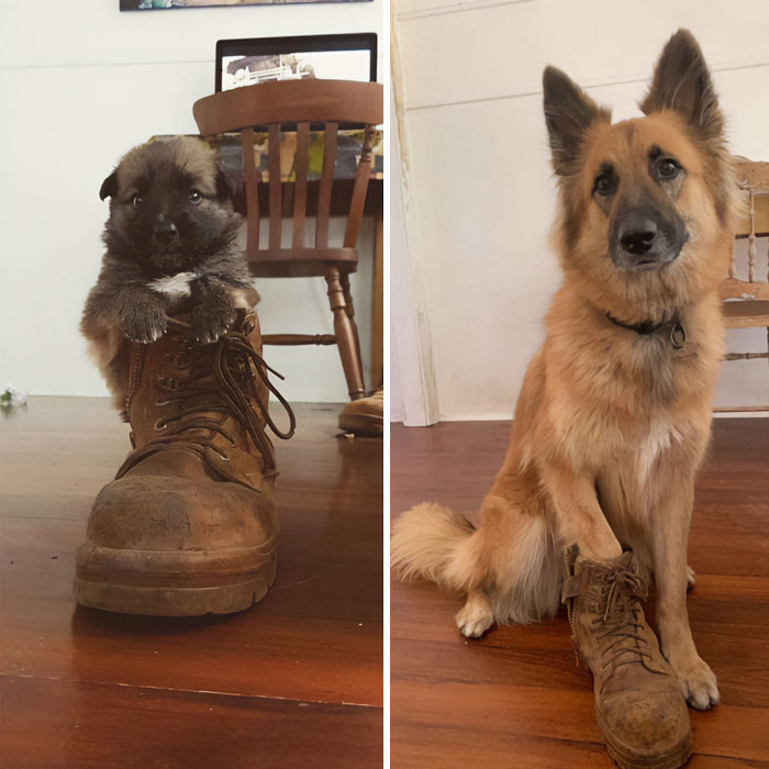 31 Heartwarming Before And After Images That Are So Wholesome !