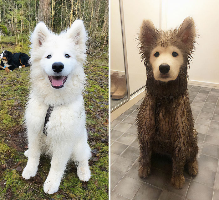 31 Heartwarming Before And After Images That Are So Wholesome !