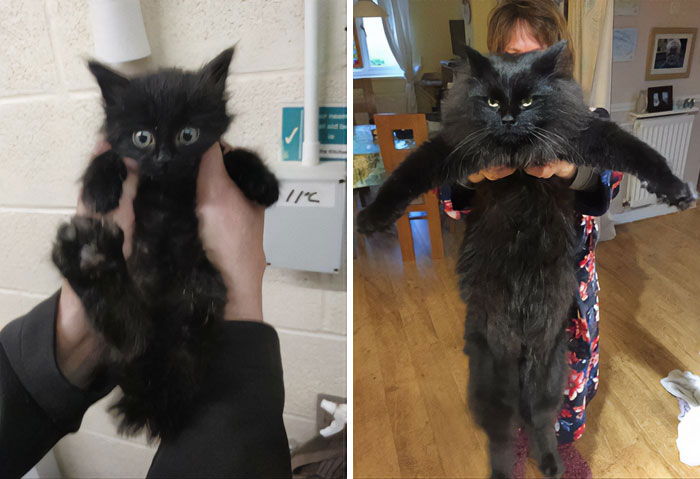 31 Heartwarming Before And After Images That Are So Wholesome !