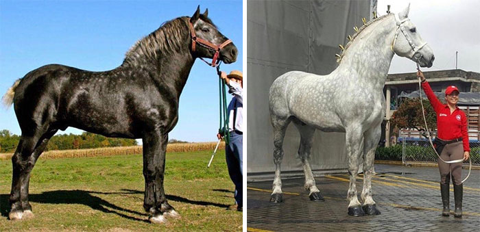 31 Heartwarming Before And After Images That Are So Wholesome !