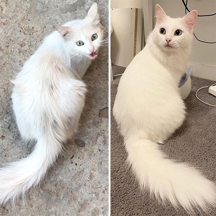 31 Heartwarming Before And After Images That Are So Wholesome !