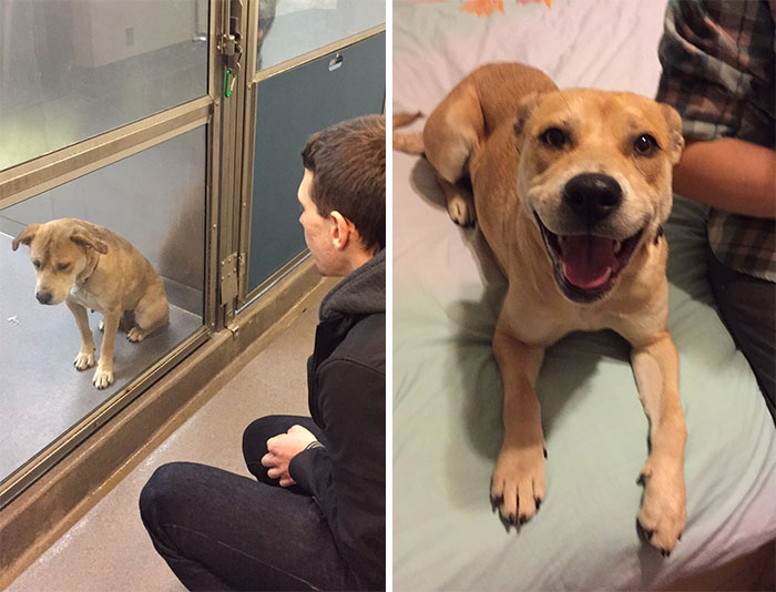 31 Heartwarming Before And After Images That Are So Wholesome !