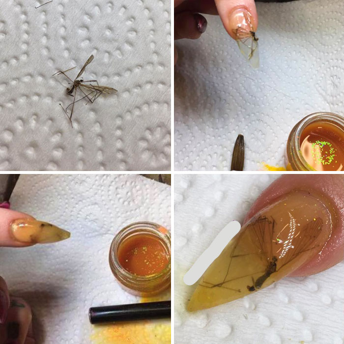 34 Extremely Funny D.i.why Fails You Must See 