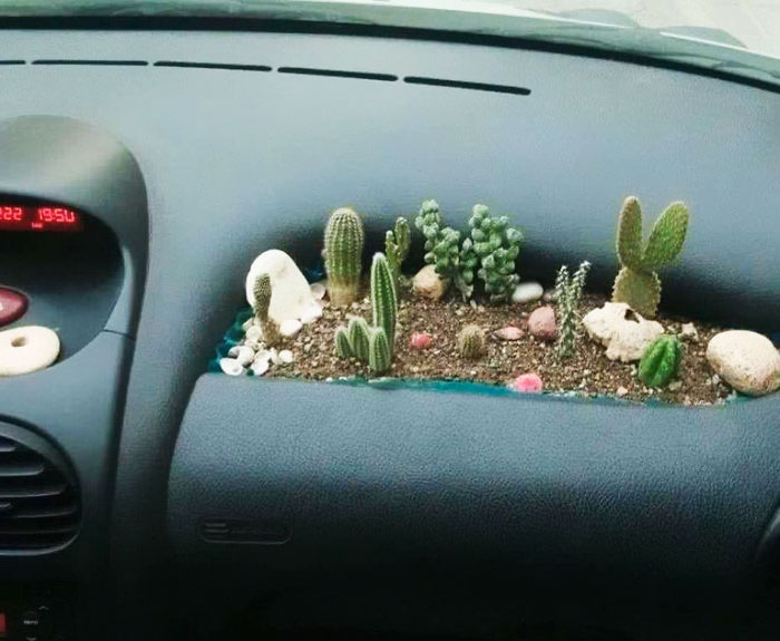 34 Extremely Funny D.i.why Fails You Must See 