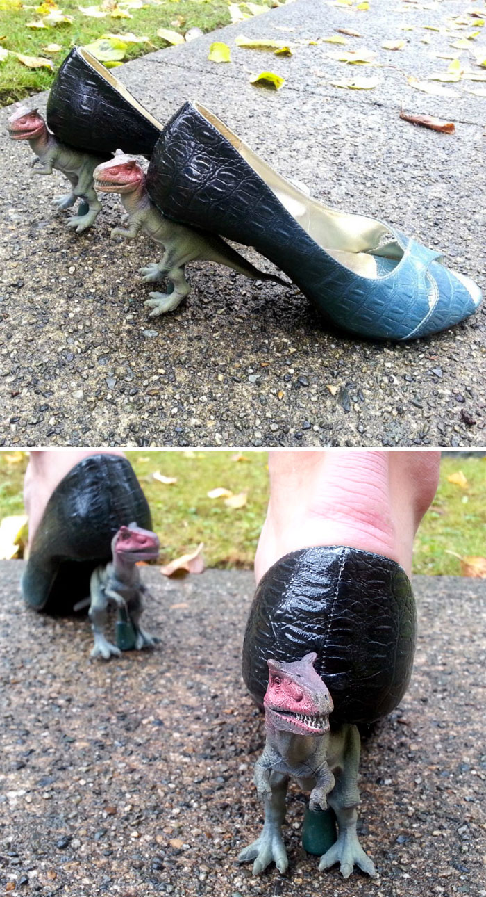 34 Extremely Funny D.i.why Fails You Must See 
