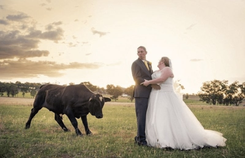 31 Epic Wedding Day Fails That Are Almost Sad To See
