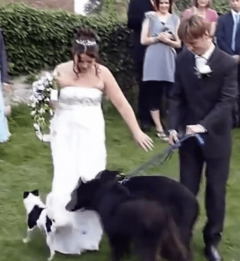 31 Epic Wedding Day Fails That Are Almost Sad To See