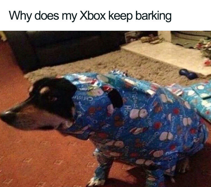 30 Festive Christmas Memes To End Off Your Year