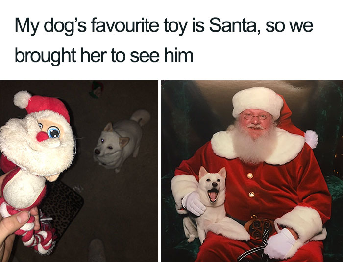 30 Festive Christmas Memes To End Off Your Year