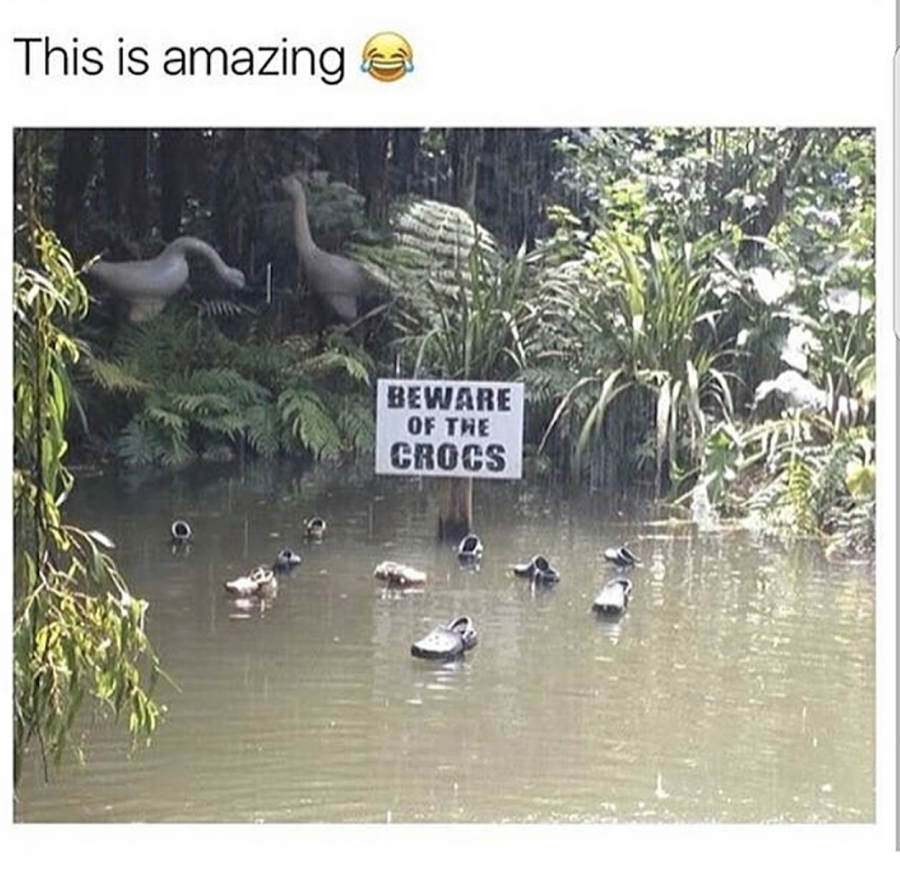 30 Hilarious And Random Memes To Start Your Week Off