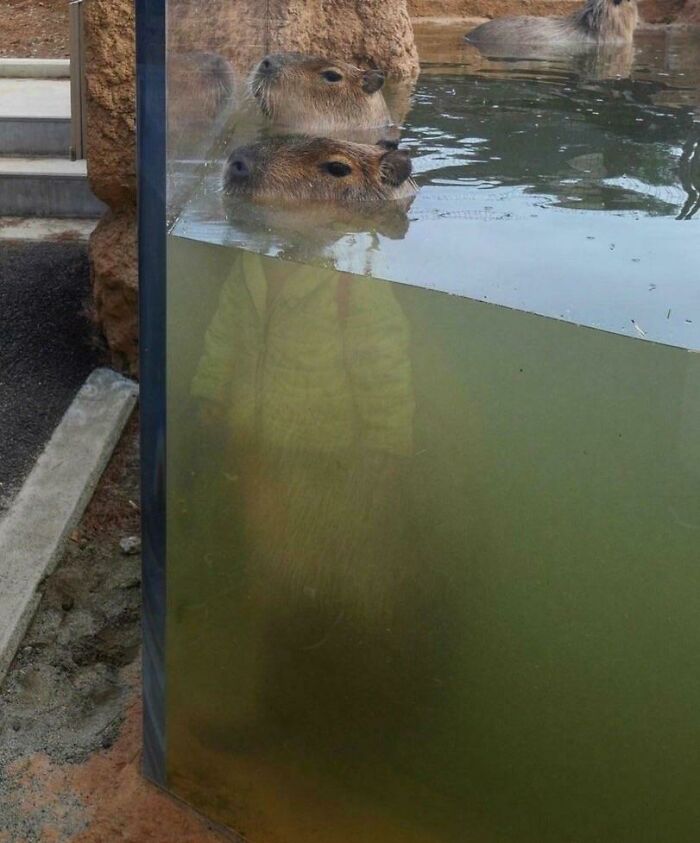 30 MindBlowing Reflections That Were Perfectly Captured 
