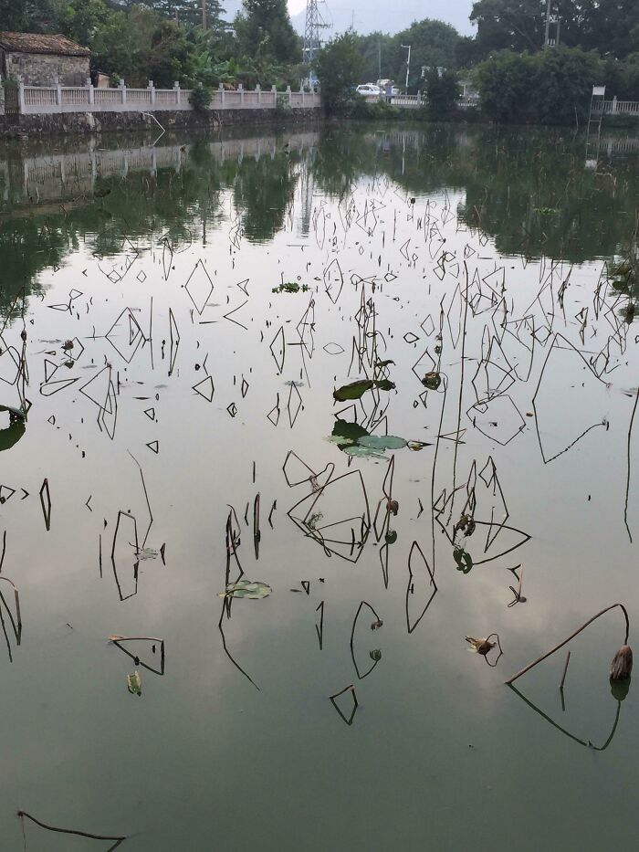 30 MindBlowing Reflections That Were Perfectly Captured 