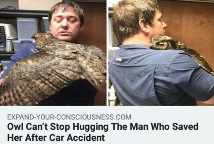 30 Heartwarming Wholesome Memes You Will Absolutely Love