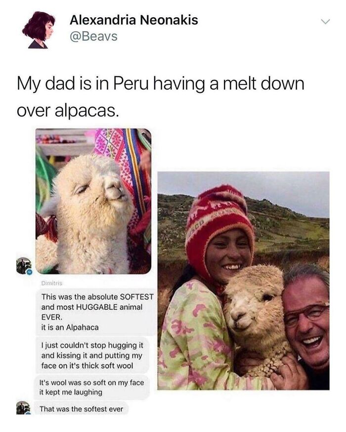 30 Heartwarming Wholesome Memes You Will Absolutely Love