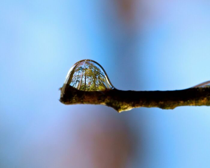 30 MindBlowing Reflections That Were Perfectly Captured 