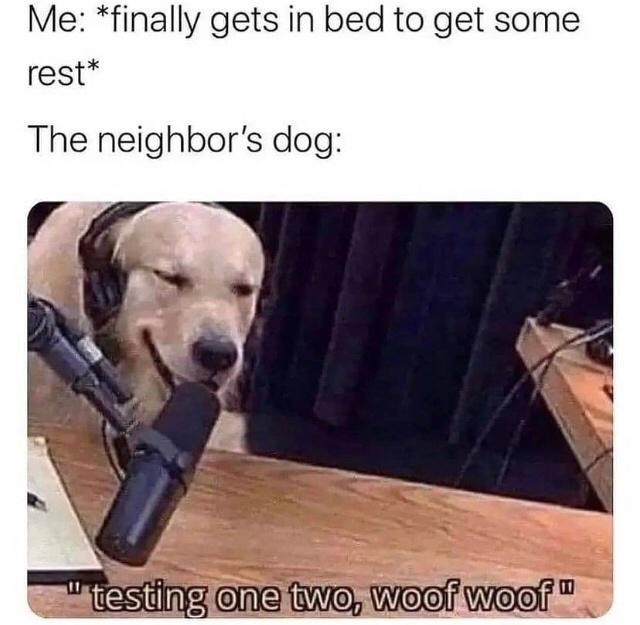30 Awesomely Cute Dog Memes Just Incase You're Having A Bad Day 