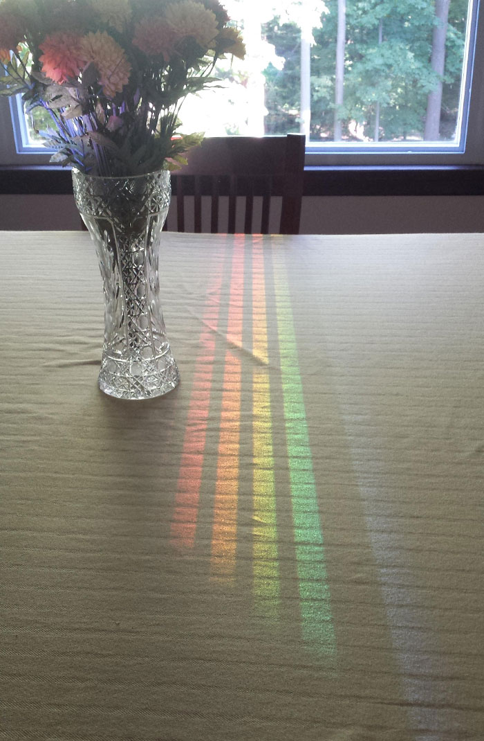 30 MindBlowing Reflections That Were Perfectly Captured 
