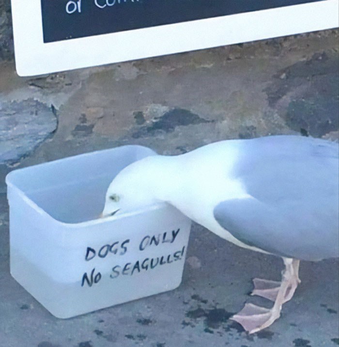 30 Outrageousness And Rebels Who Want To See The World Burn 