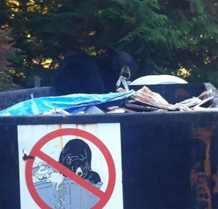 30 Outrageousness And Rebels Who Want To See The World Burn 