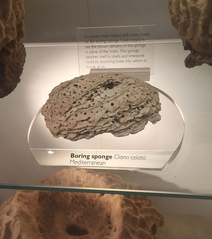 32 Super Funny Pictures People Took At Museums&Nbsp;