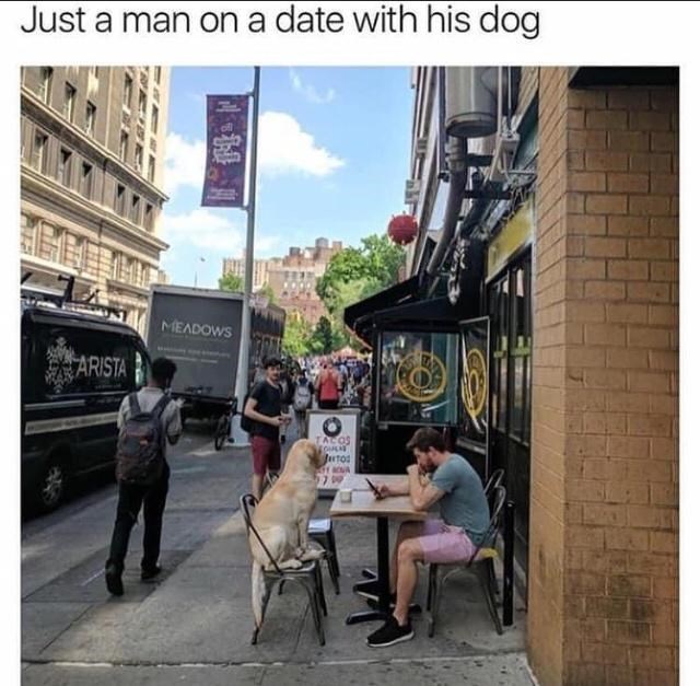 30 Awesomely Cute Dog Memes Just Incase You're Having A Bad Day 