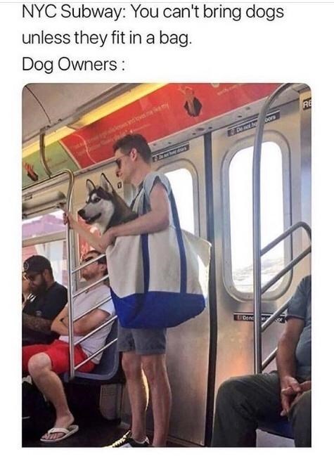 30 Awesomely Cute Dog Memes Just Incase You're Having A Bad Day 