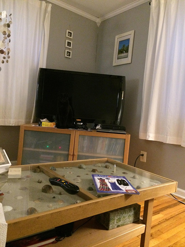 30 Extreme Examples Of Why Cats Are Ninjas
