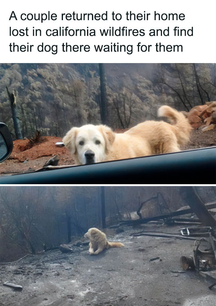 30 Heartwarming Wholesome Memes You Will Absolutely Love