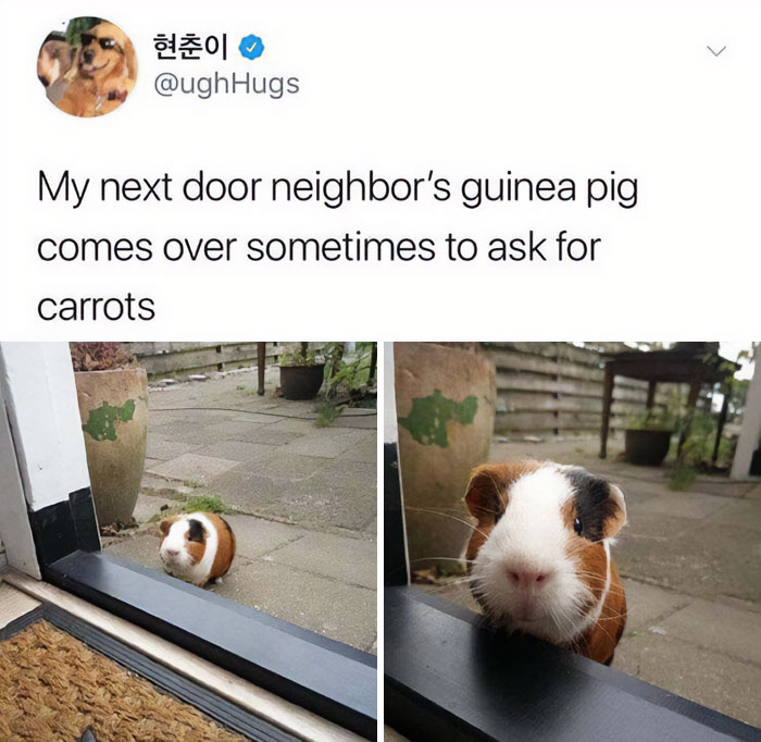 30 Heartwarming Wholesome Memes You Will Absolutely Love