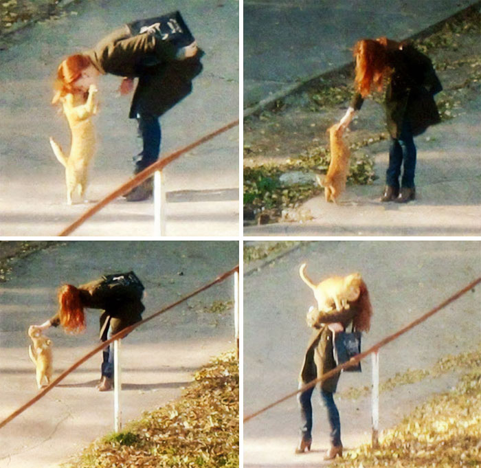 30 Heartwarming Wholesome Memes You Will Absolutely Love