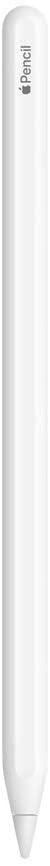 The LifeChanging Apple Pencil (2Nd Generation)
