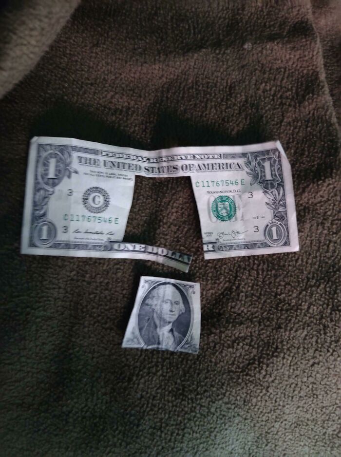 30 Supper Funny Pictures Of Parents Having A Bad Day 
