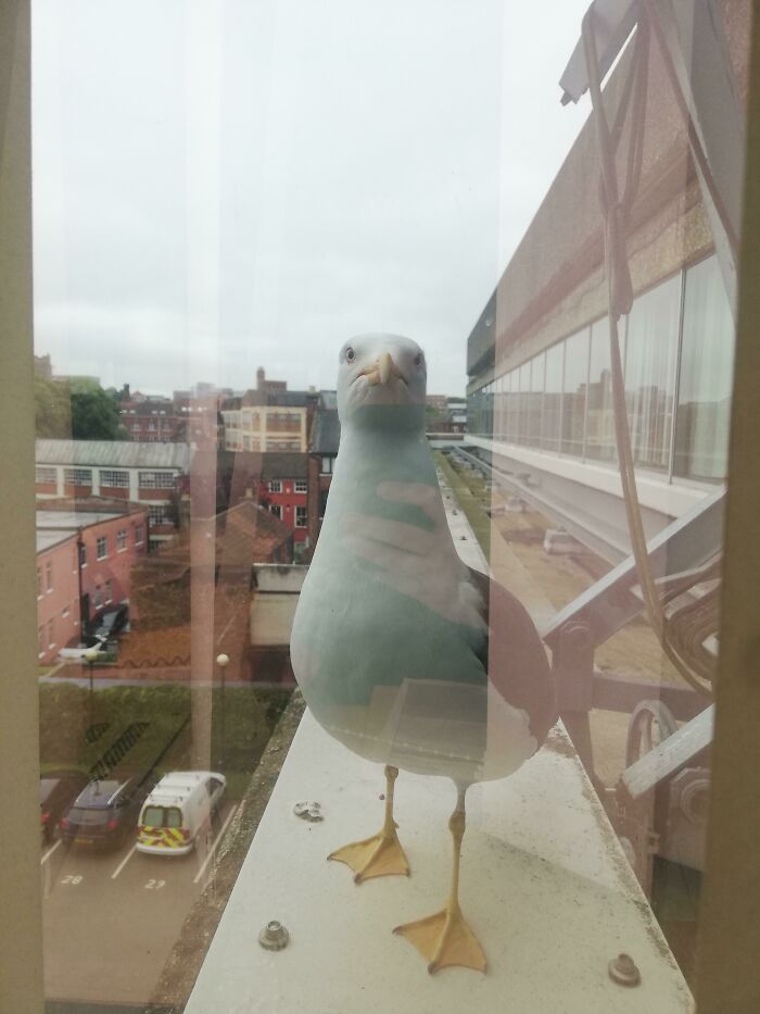 30 Heartbreaking Pictures Of People Having A Really Bad Day At Work 