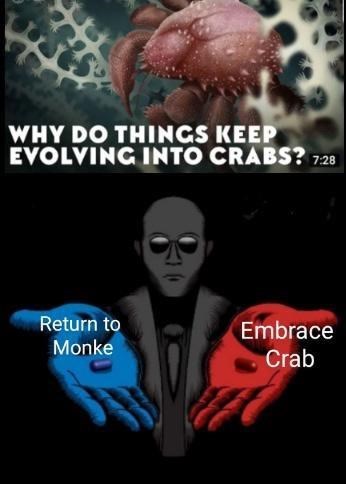 30 Terrific Memes To Laugh At During Your Free Time 
