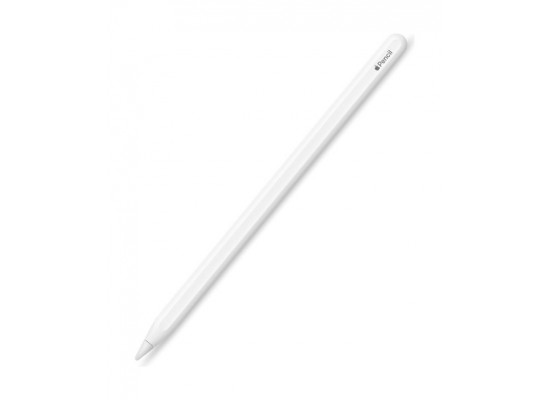 The LifeChanging Apple Pencil (2Nd Generation)