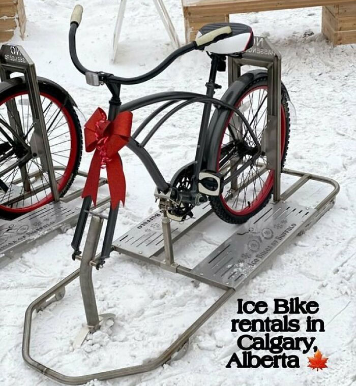 30 Dazzling Canadian Memes That Are So Funny And Accurate 