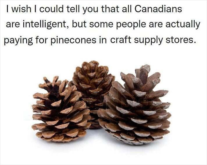 30 Dazzling Canadian Memes That Are So Funny And Accurate 