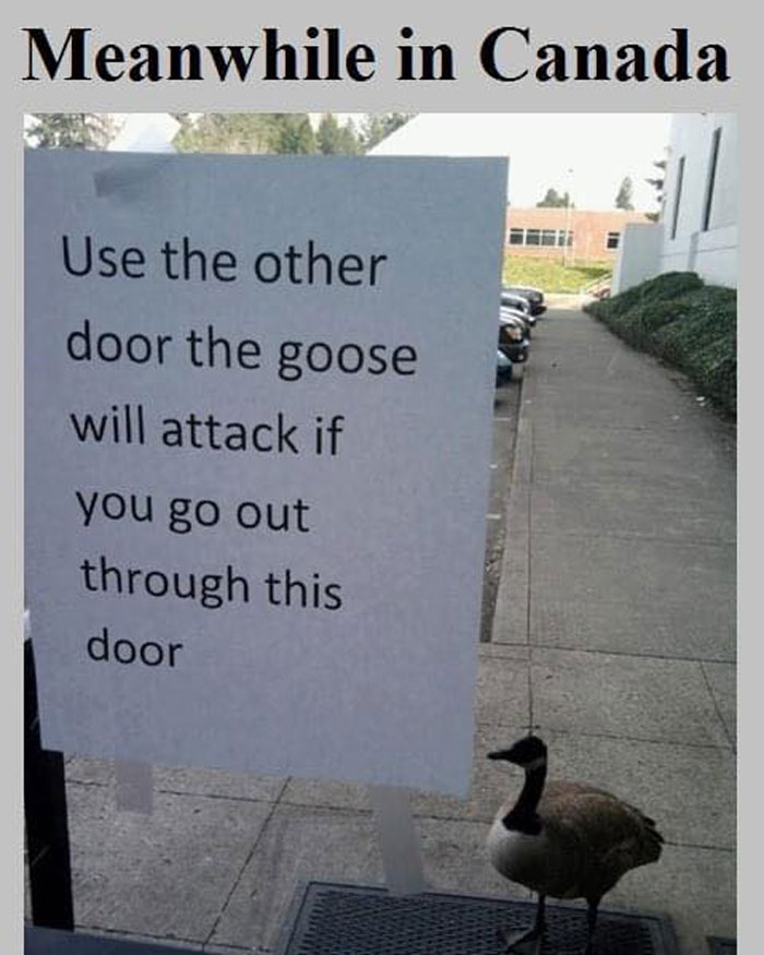30 Dazzling Canadian Memes That Are So Funny And Accurate 