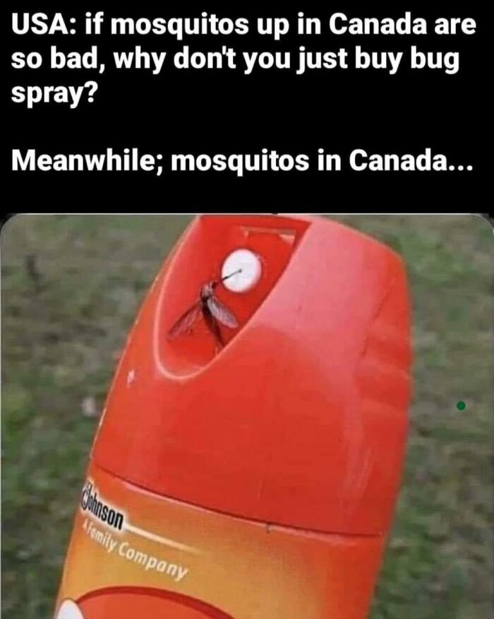 30 Dazzling Canadian Memes That Are So Funny And Accurate 