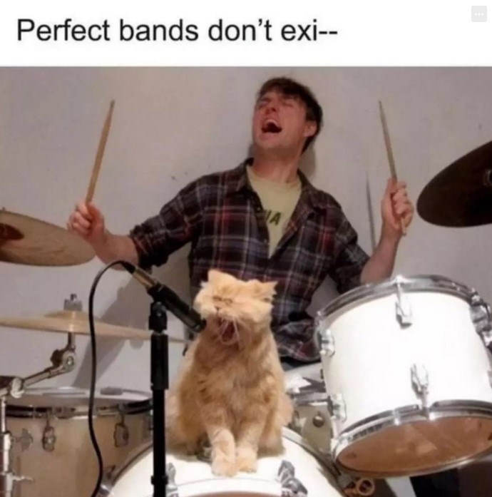 20 Dumb Cat Memes That Are So Funny You Can't Resist Laughing 
