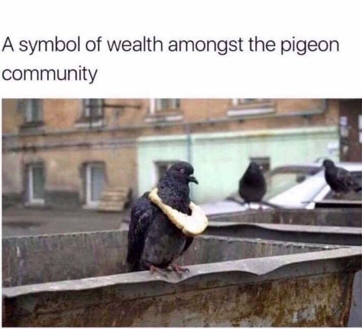 30 Exquisite Random Meme Dump That Will Leave You Crying Of Laughter 