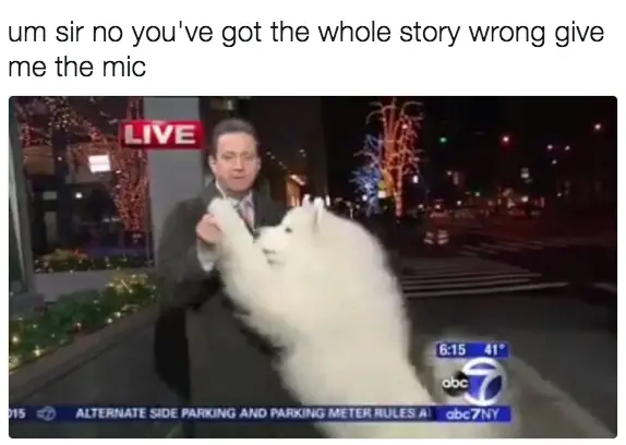 30 Perfect Funny Dog Memes That Will Make Your Day So Much Better 