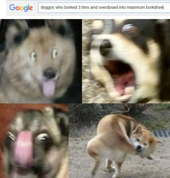 30 Perfect Funny Dog Memes That Will Make Your Day So Much Better 